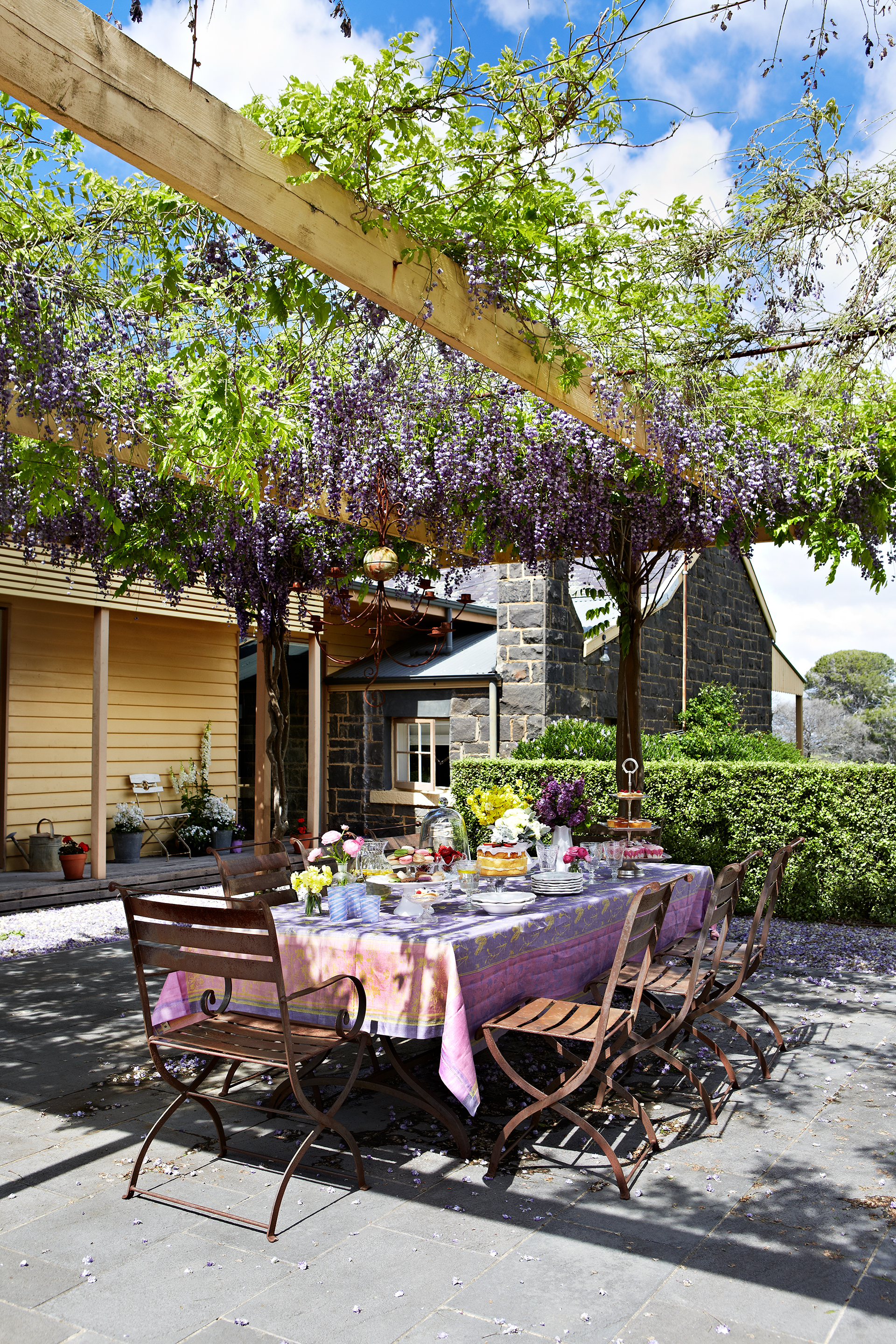 Pergola to the rear of a country home. Purple wisteria covers the pergola.