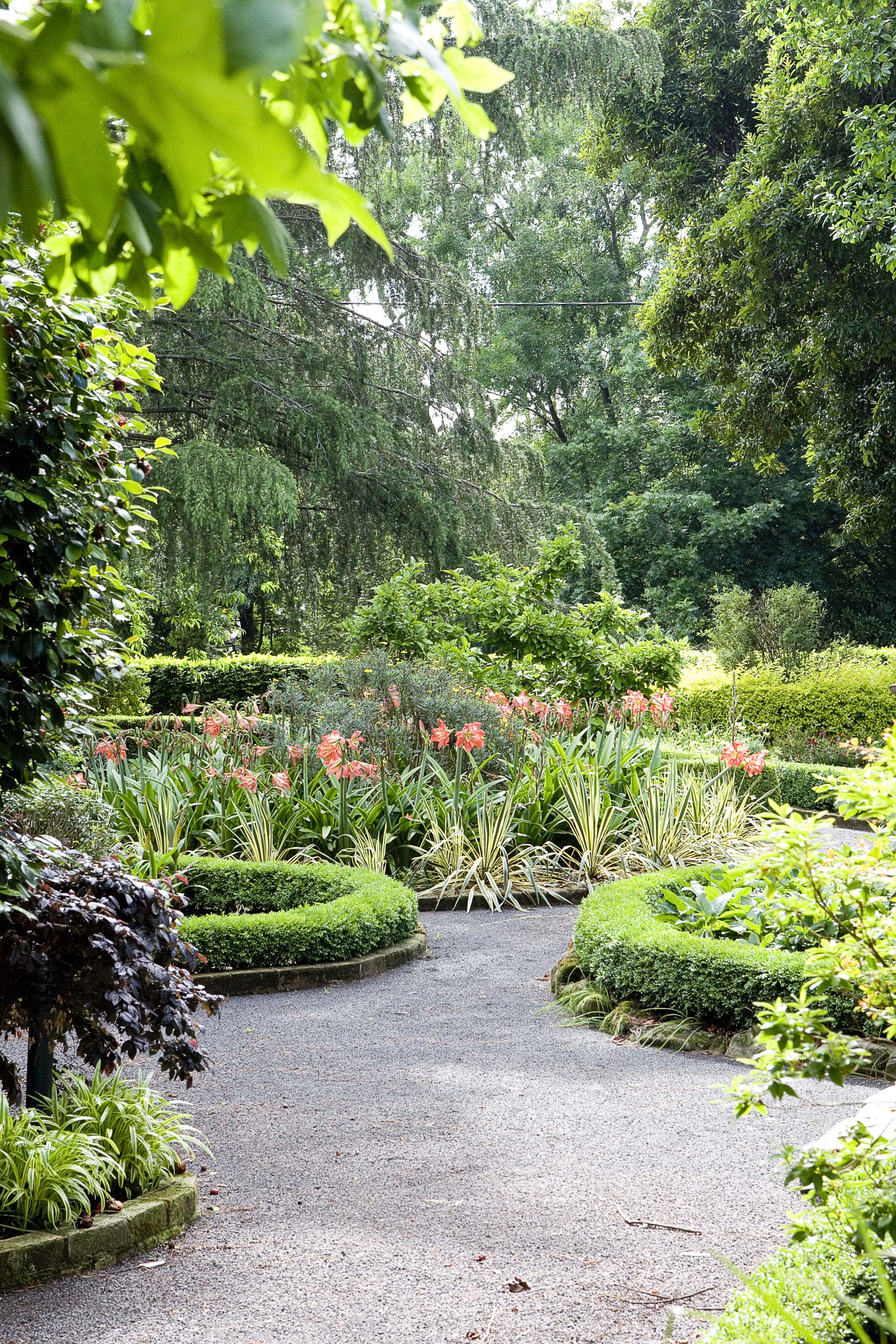 Blue mountains garden with cinder block pathways.