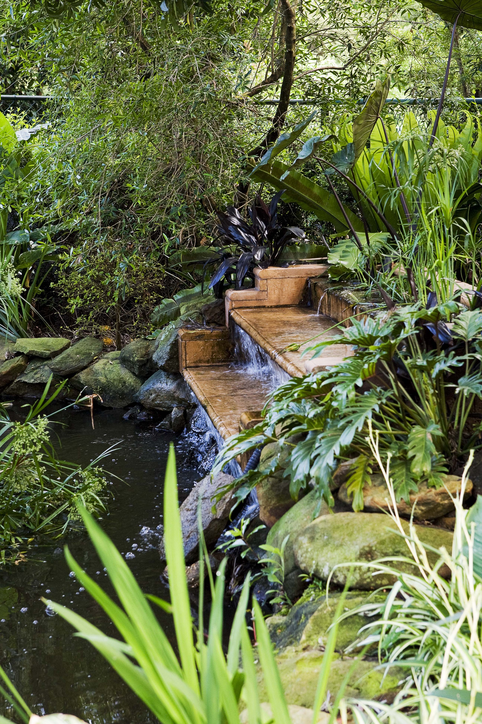 Pond with a stepped waterfall at a garden in the Blue Mountains NSW.