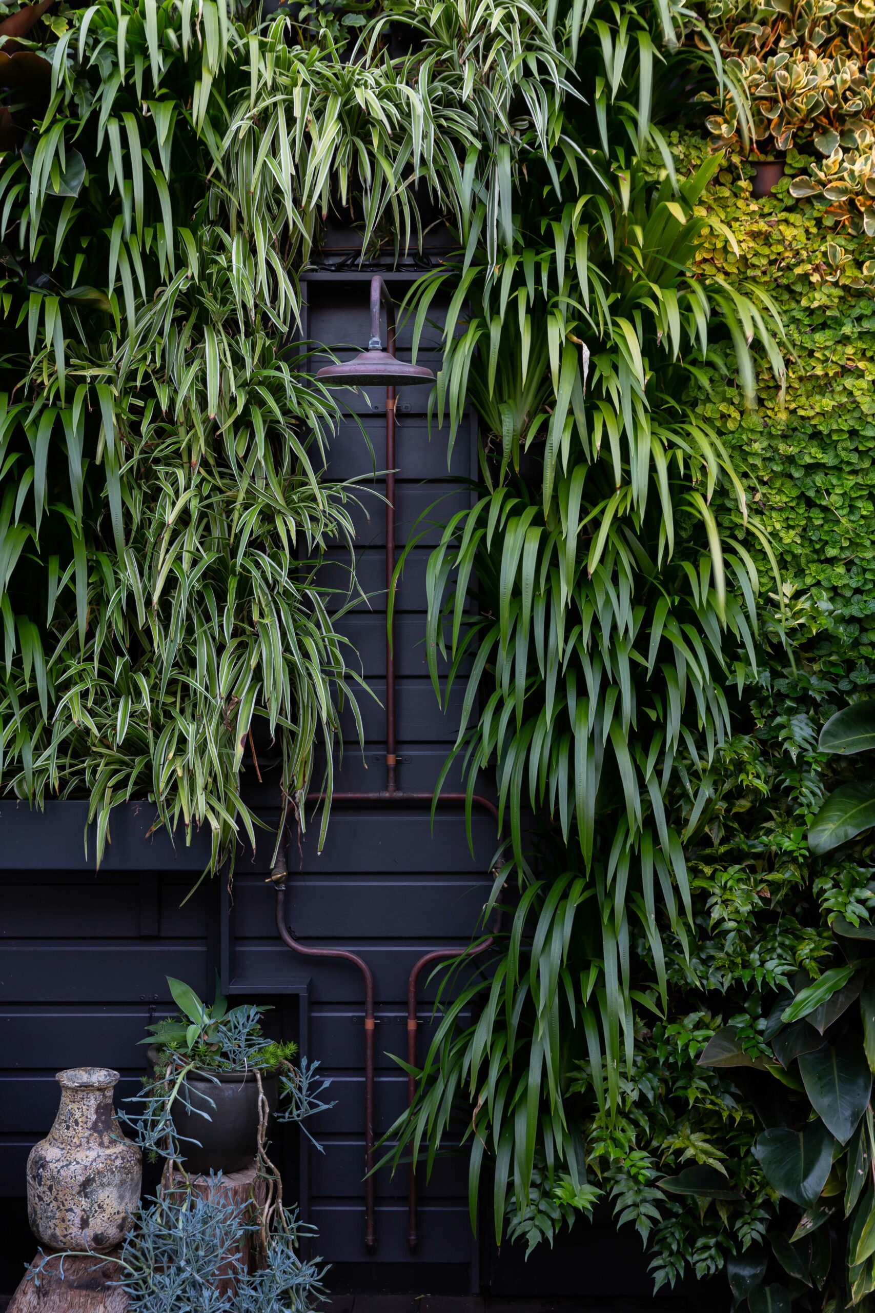 A vertical garden surrounds an outdoor shower
