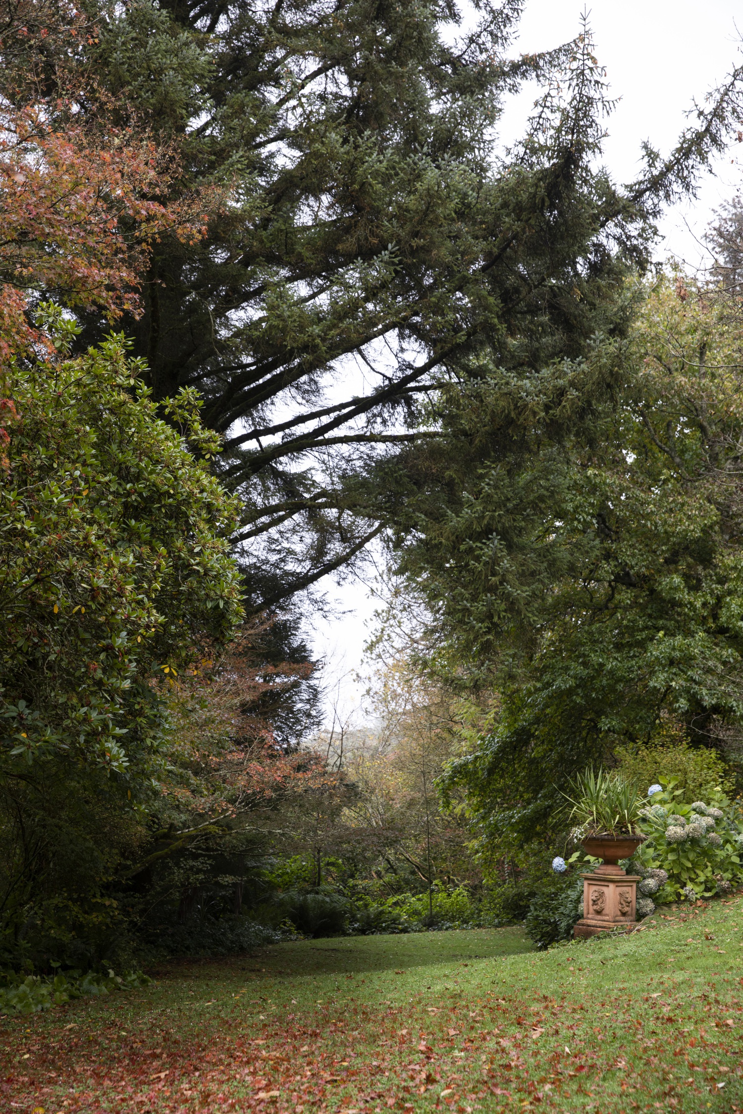 mount macedon enchanted forest garden lawn