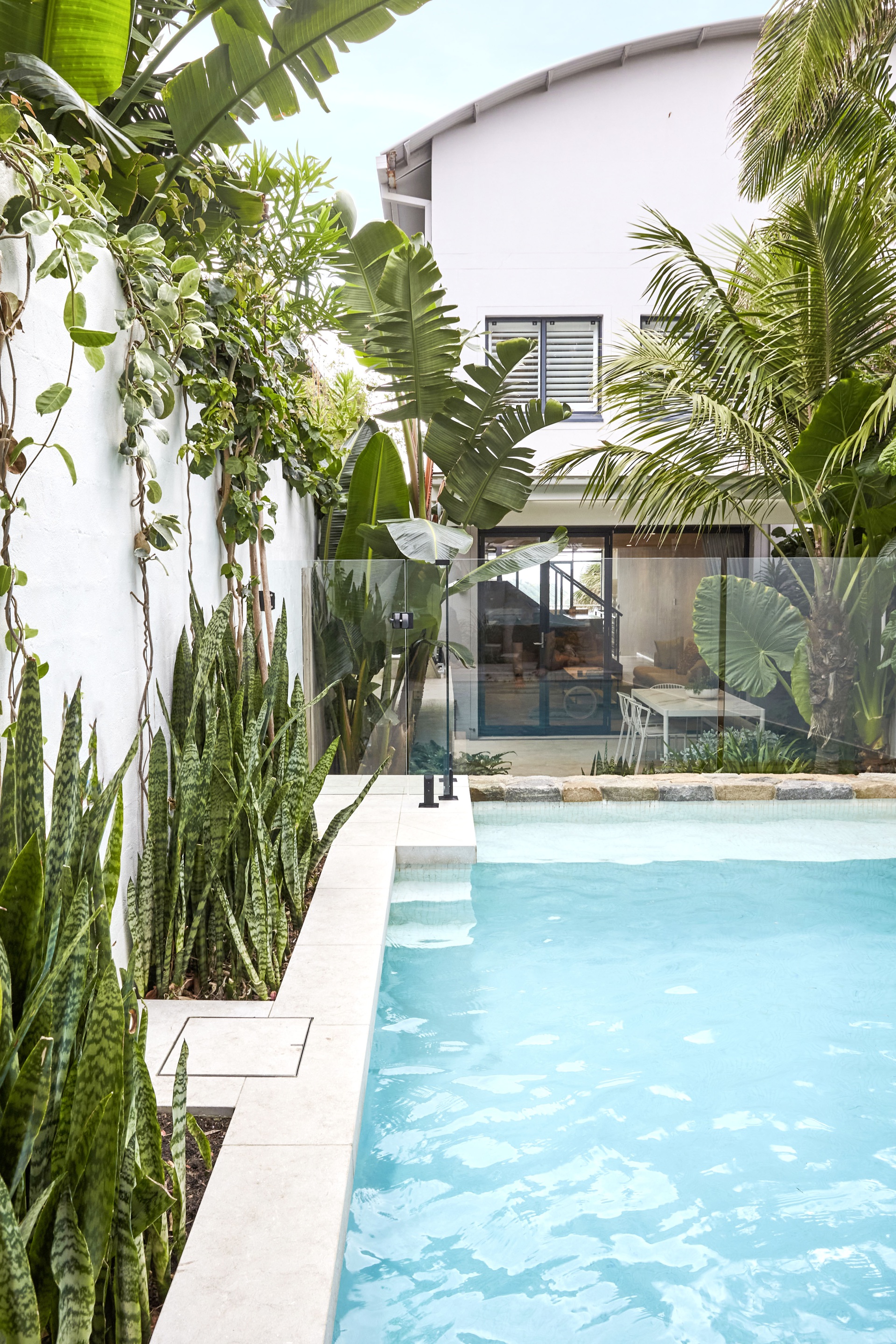 Pool surrounded and tropical plants by outdoor entertaining area.