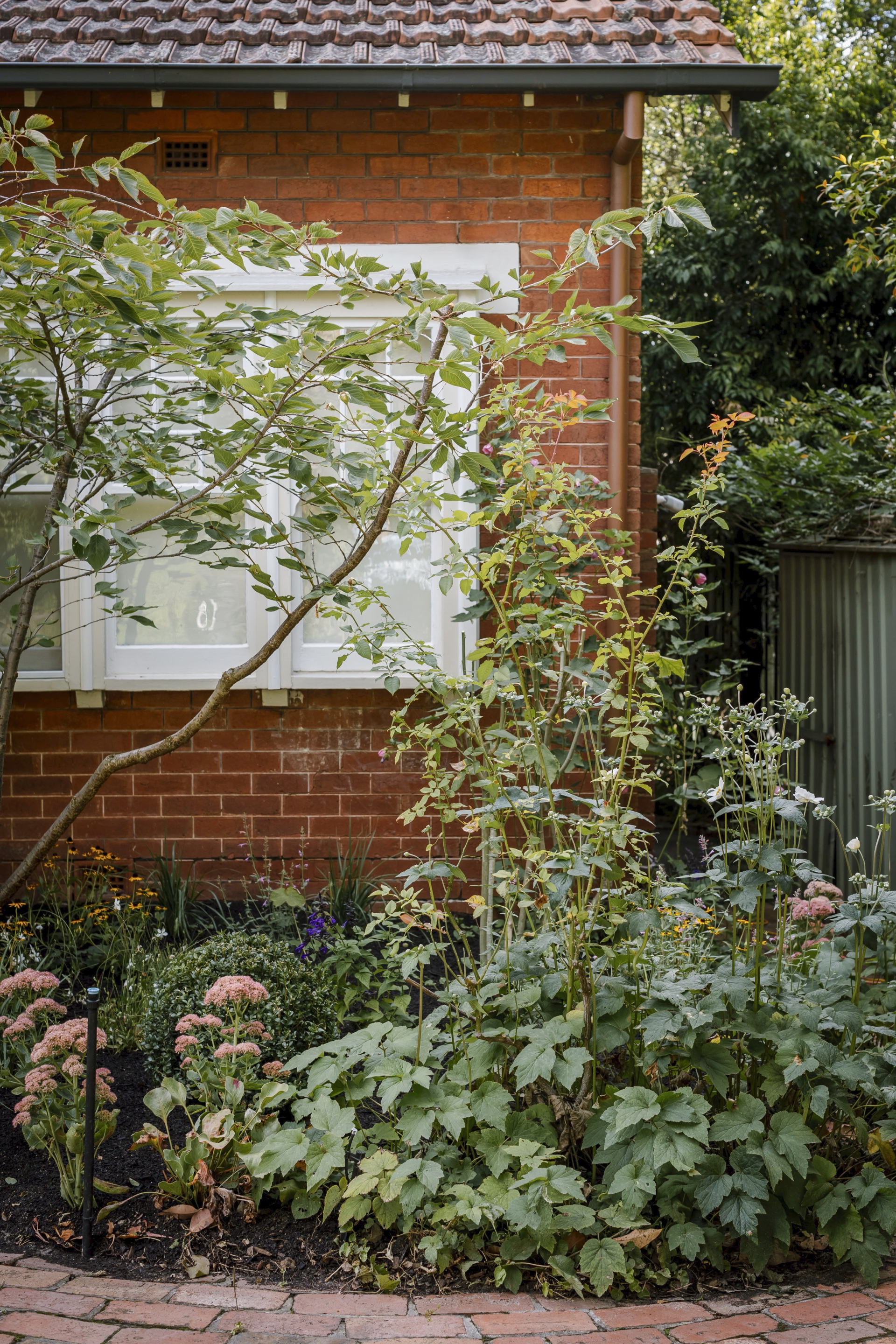 Ashley James' fairytale garden. 