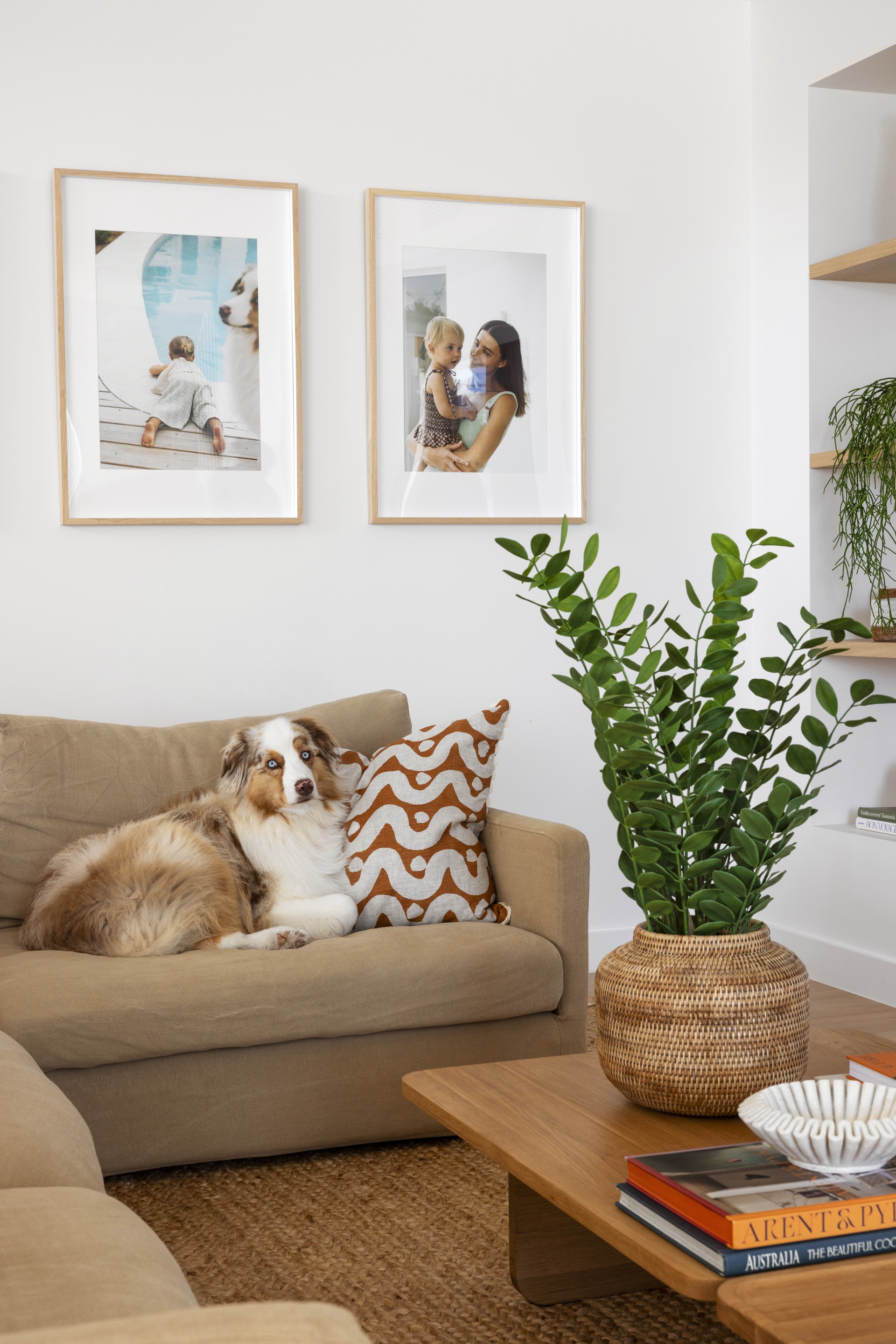 Nicola and Lachie Waller's dog. 